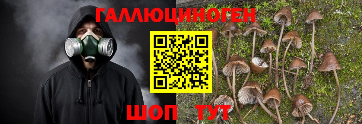 Псилоцибиновые грибы прущие грибы  Вход с VPN  Арзамас 